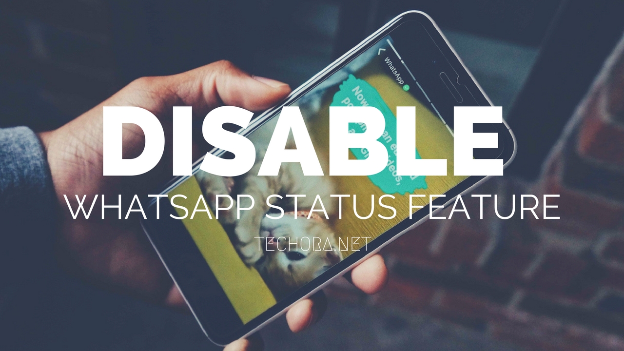  A hand holding a phone with the WhatsApp Status feature disabled.